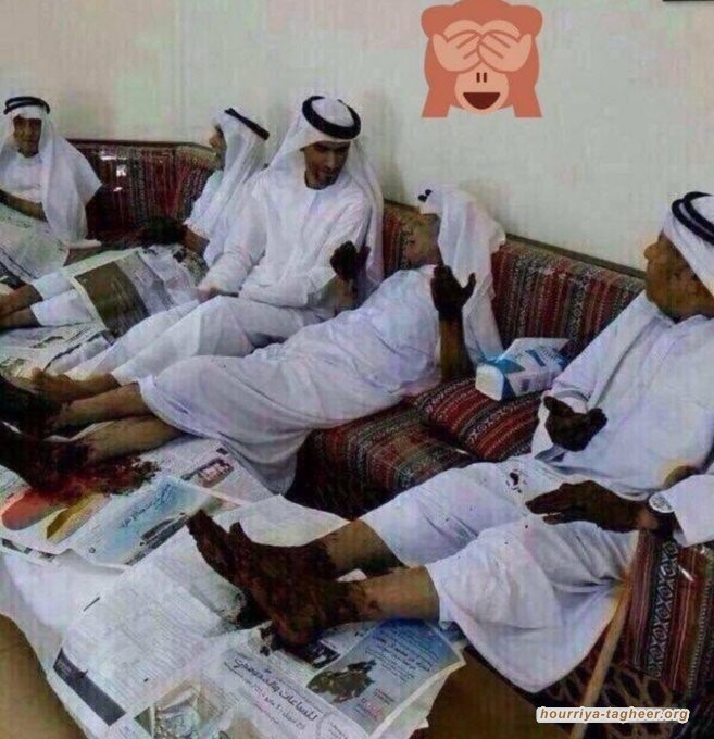 الوساطة العربية لوقف الحرب ليست قيدًا أو بديلاً عن المواقف القومية