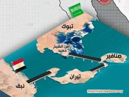 أين اختفى مشروع جسر الملك سلمان الرابط بين مصر والسعودية