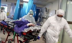 بعد وفاة أحدهم .. قلق طبي سعودي من حالات الأمراء الحرجة المصابة بكورونا