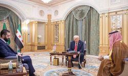 الهرة تهدد أبناءها: انتهى عهد الدفاع المجاني