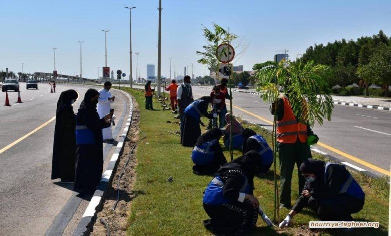 تشكيك أممي بخطط بن سلمان لتوليد الطاقة وتغير المناخ