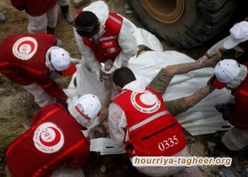 جرائم حرب موثقة دوليا لآل سعود في اليمن