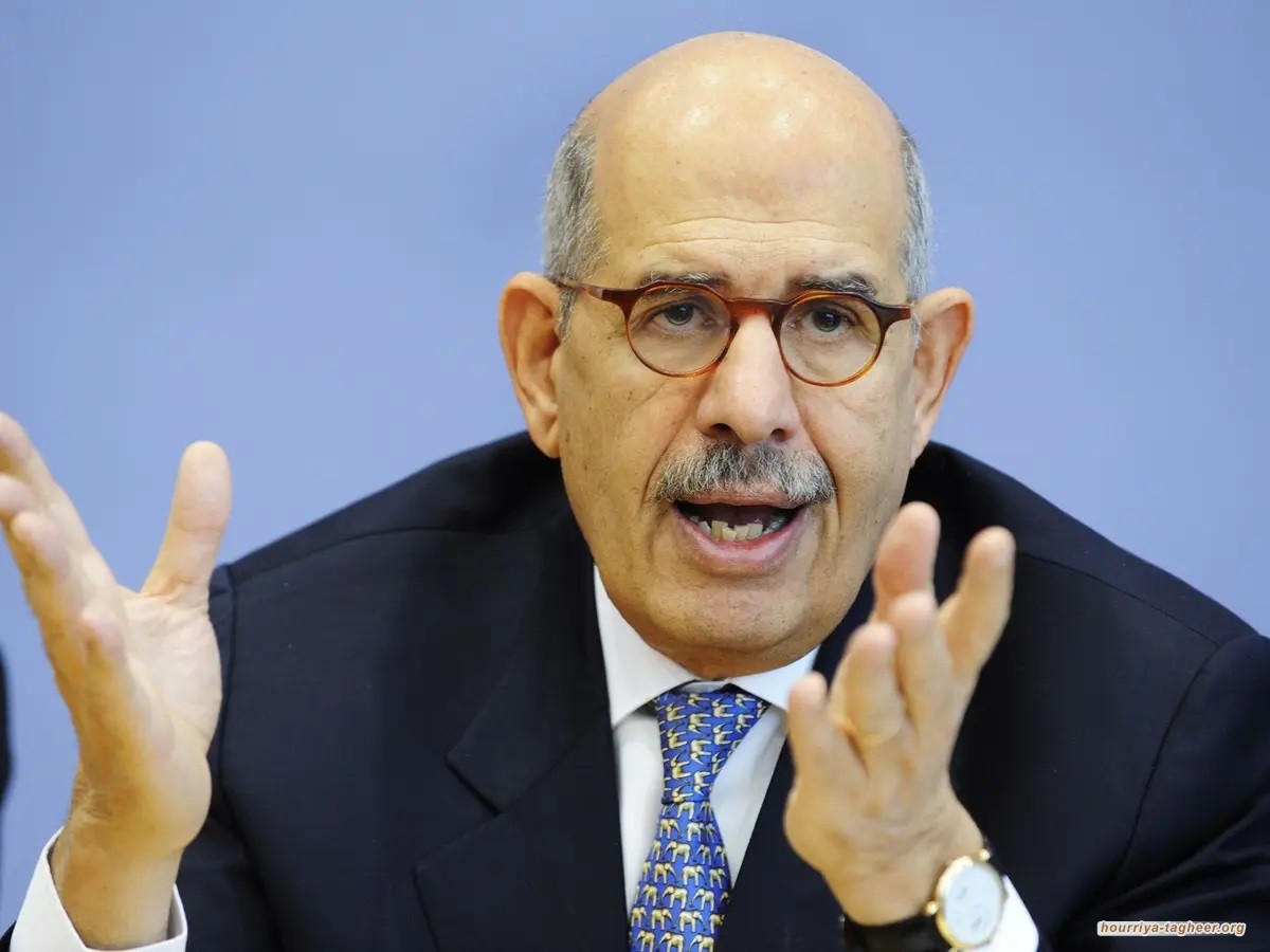 محمد البرادعي يحرج الأنظمة العربية بعد حكم العدل الدولية ضد إسرائيل