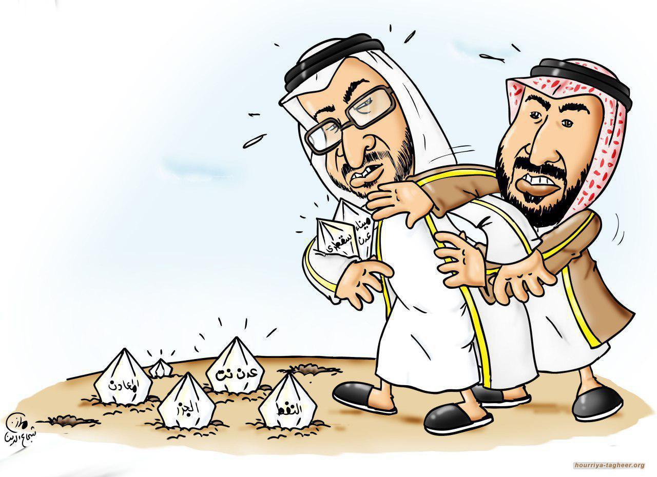 ماهي عقدة ابن سلمان التي يمتلكها ابن زايد