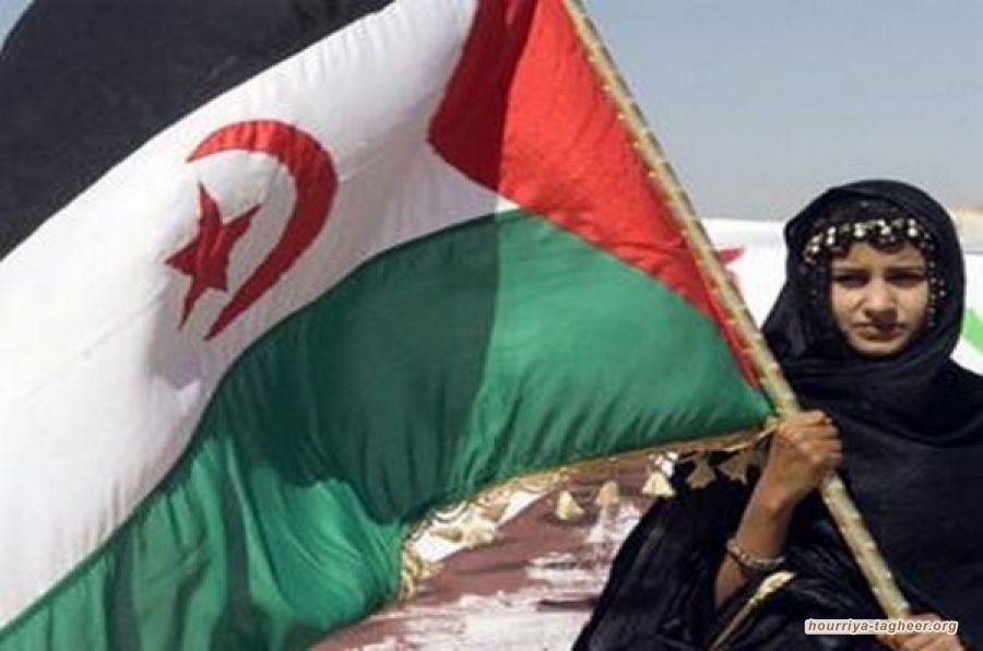 قراءة في الموقف الخليجي من قضية الصحراء الغربية