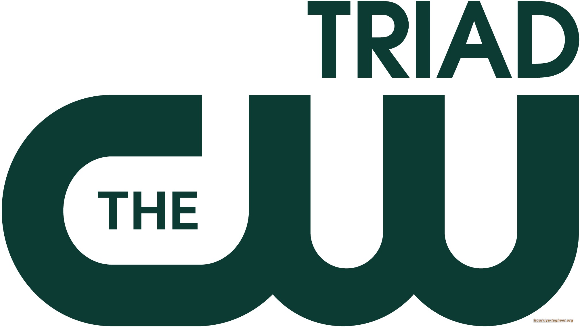 فشل السعودية بتوفير راع إعلامي دفعها للتعاقد مع قناة للفتيات المراهقات