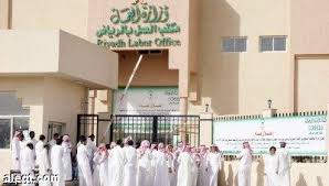 عاطلون:ساوونا بالوافدين في فرص الوظائف