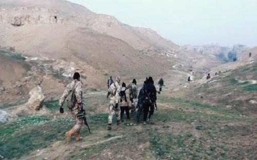 صحيفة: أميركا تخطط لنقل إرهابيين من الموصل وحلب إلى السعودية