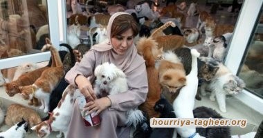 ثمار رؤية ابن سلمان.. أول فندق 5 نجوم للقطط في السعودية