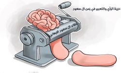 الإدارة بالصمت: كيف يُعاد تشكيل السياسة في الخليج