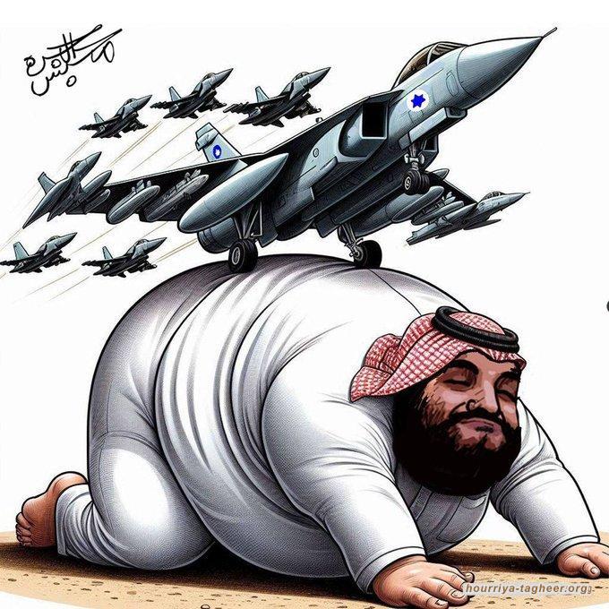 روفيسور هادي شلوف