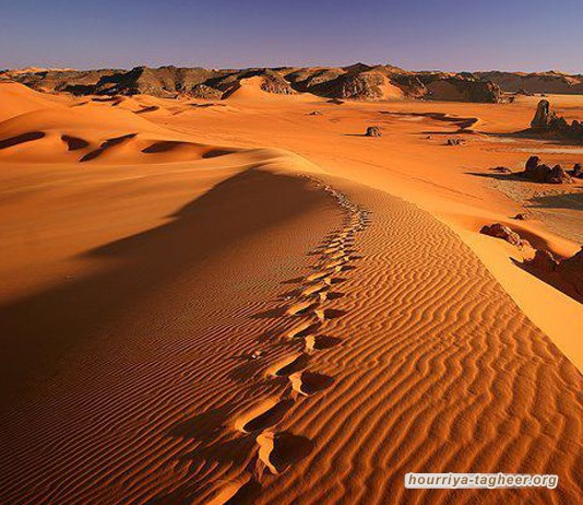  الضياع في صحراء الربع الخالي.. رعب للسعوديين تحاربه جمعيات الإنقاذ