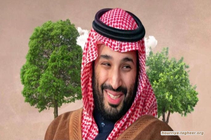 البروباجندا الكاذبة في "50 مليار شجرة" لتشجير الشرق الأوسط .. لماذا يعشقها ابن سلمان ؟..