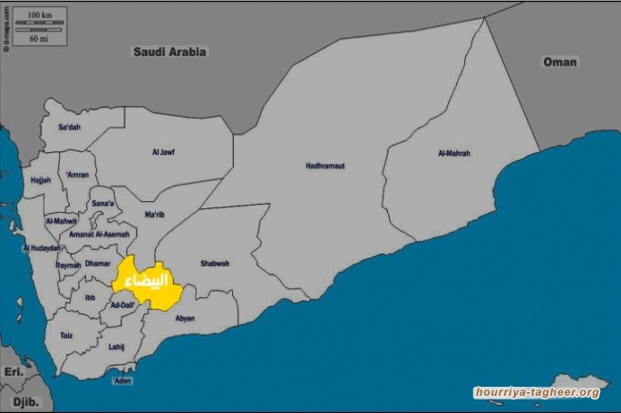 تقدمات جديدة لقوات صنعاء في البيضاء وموالون للتحالف يصدرون توقعات عسكرية