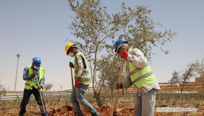 النرويج ترفض ضم شركات سعودية إلى مؤشر صندوقها السيادي