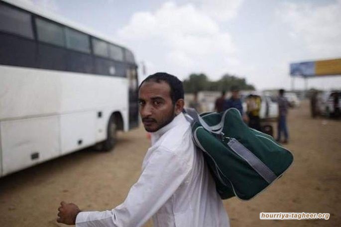 مصادر: لا صحة لتراجع السعودية عن قرار ترحيل اليمنيين وعودة الأكاديميين هدفها سد العجز