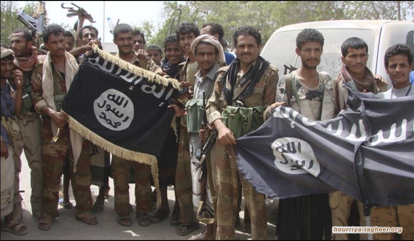 قتلى القاعدة وفضيحة المدافعين عن "الشرعية" في اليمن!