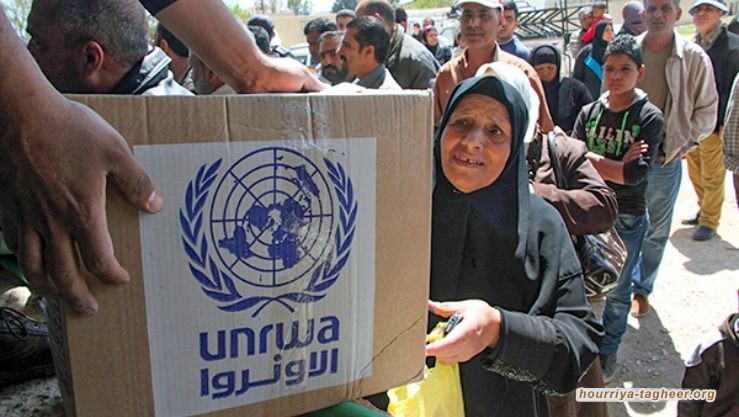 60 مليون فقط مساهمة العرب في ميزانية منظمة أونروا