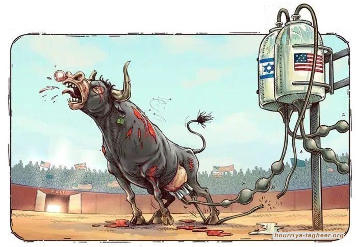 سخرية واسعة من خضوع البقرة السعودية سريعا لابتزاز ترامب