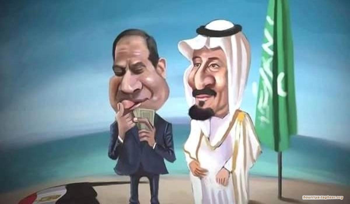جمهورية فيفي عبدة تدخل حضيرة حلب البقرة السعودية