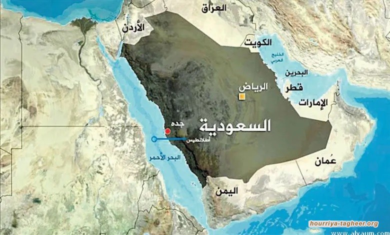 لهذا ترفض السعودية والإمارات الانضمام لتحالف البحر الأحمر