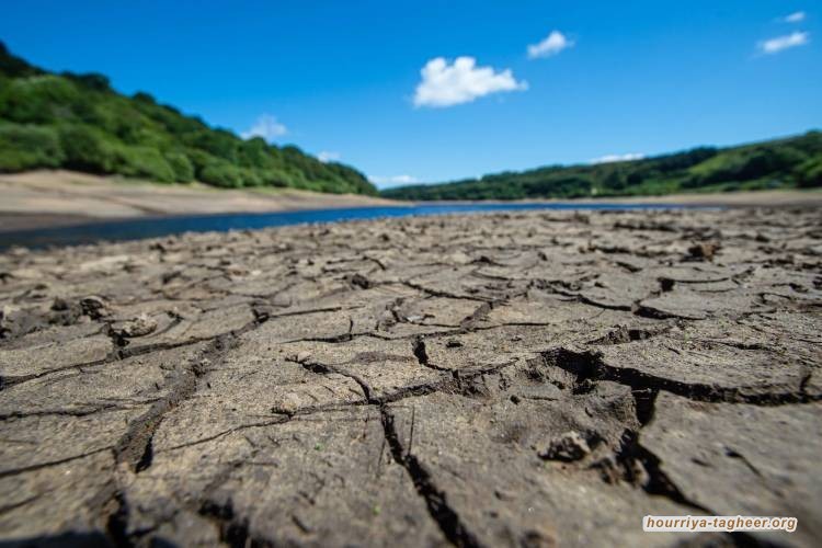 مشروع ذا لاين لم يكتمل إلا بعد ١٠٠ عام