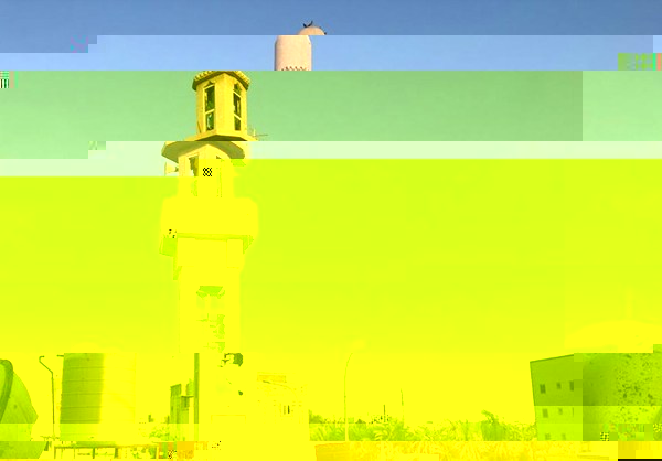 آل غراش يكتب :العدوان على العوامية يفضح دموية السلطة