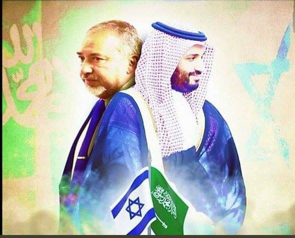 مشاريع بن سلمان الفاشلة خسائر لمصر وأرباح للأحتلال الإسرائيلي