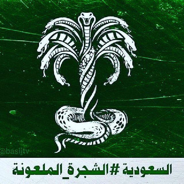 السعودية شجرة ملعونة يستوجب قلعها