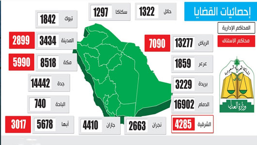 100 ألف قضية ضد جهات حكومية وموظفين.. خلال عام