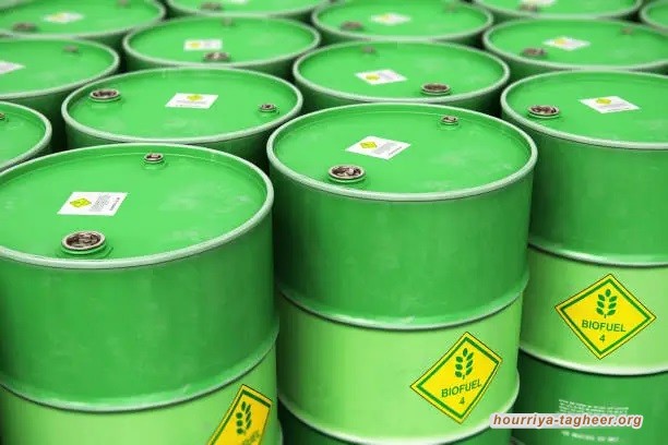 #محمد_بن_سلمان يغازل أمريكا ويرفع أسعار النفط