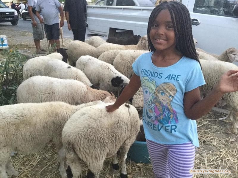 مملكة على حافة الانهيار