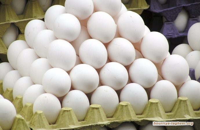 تصاعد دعوات مقاطعة الألبان واللحوم بعد ارتفاع أسعارها