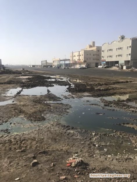 جدة غير حفر وحشرات ومياه مختلطة بالصرف الصحي