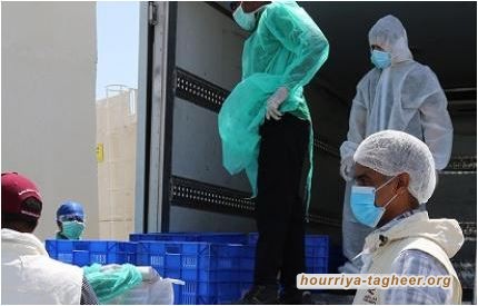 وزارة الصحة تسجل أكبر عدد إصابات بفيروس كورونا منذ انتشاره في البلاد