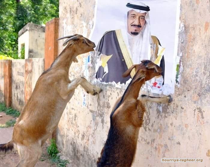 النظام السعودي بين أمل البقاء وحتمية الزوال