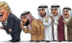 واشنطن تشكر شركاءها في الخليج لقتالهم معها