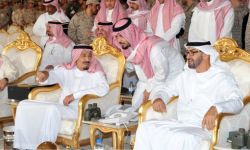 الغباء السياسي جعل الرياض أداة في يد أبوظبي